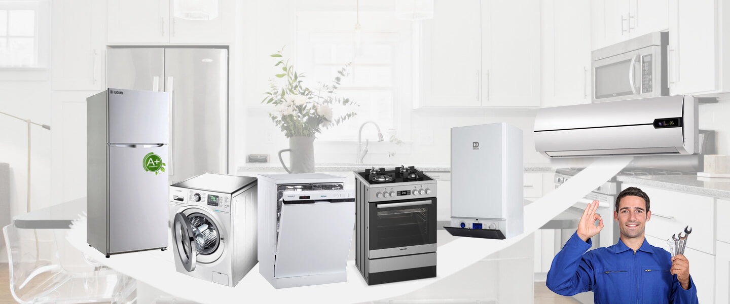 Beylikova Gorenje Servisi
